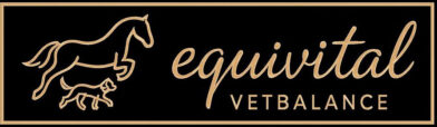 eqv logo