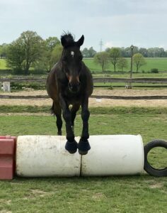luffi jump